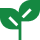 plantinha